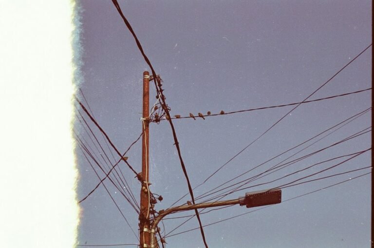 business support hotline number